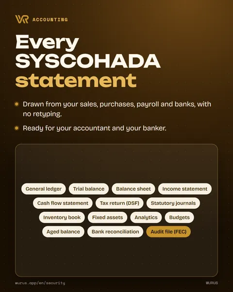 Every SYSCOHADA statement