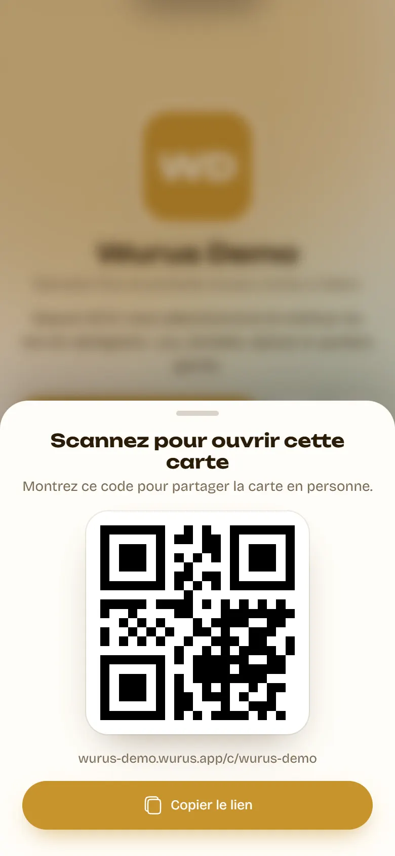 Le QR code de la carte, affiché en plein écran sur le téléphone pour être scanné, avec le bouton Copier le lien.